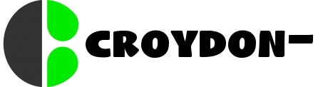 croydon-removals-company.co